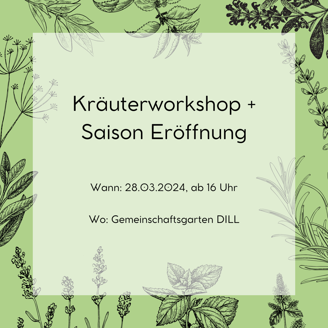 Kräuterworkshop.png