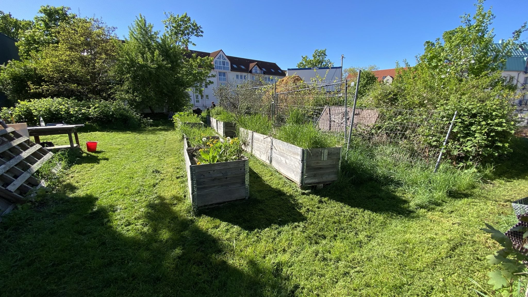 signal-2025-04-26-19-52-22-025-1.jpg