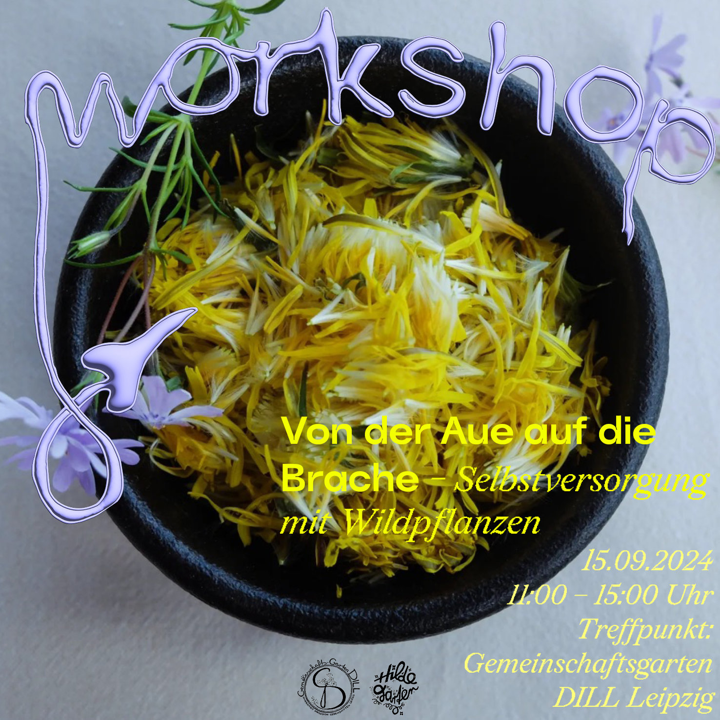 workshop_wildpflanzen.jpg